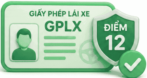 Điểm GPLX trên VNeTraffic